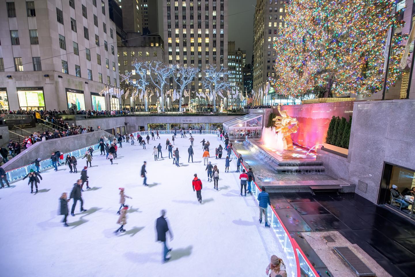Chillier weather calls for a good coat to enjoy the crisp outdoors and there’s nothing better to do right now in NYC than ice skate. NY is home to several great rinks, and we’ve compiled an essentials guide for you to breeze in and start practicing your triple axel! Head over to the guide section of our feed to view the guide!

#iceskating#winter#nycwinter#elitelifstyle#nyclifestyle#fitness#health#wellness