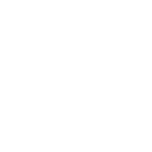 SmartMGMT